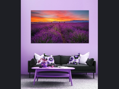 aa019-purpleprovence150x85cm