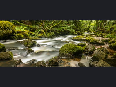aa020-sound-of-nature175x70cm-r25a3171