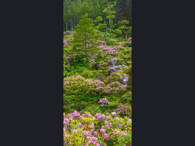 aa030-flower_forest75x160cm-540b9126