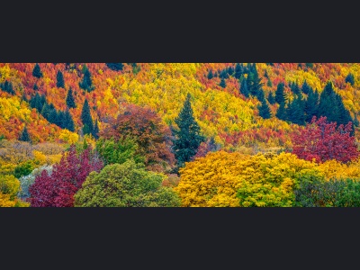 aa034-autumn-colours175x70cm-540b9197