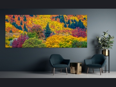aa034-autumn_colours175x70cm_1588800817