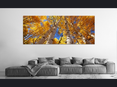 aa062-aspen-glow175x70cm_1889335498