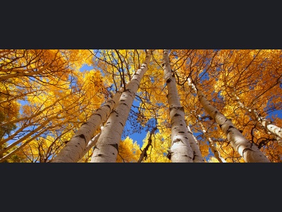 aa062-aspen-glow175x70cma